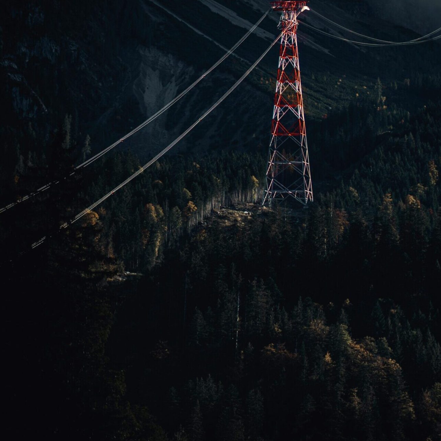 hendrik schlott vjzvmqa hdc unsplash